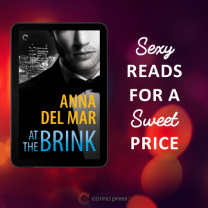 Sexy Reads- At the Brink